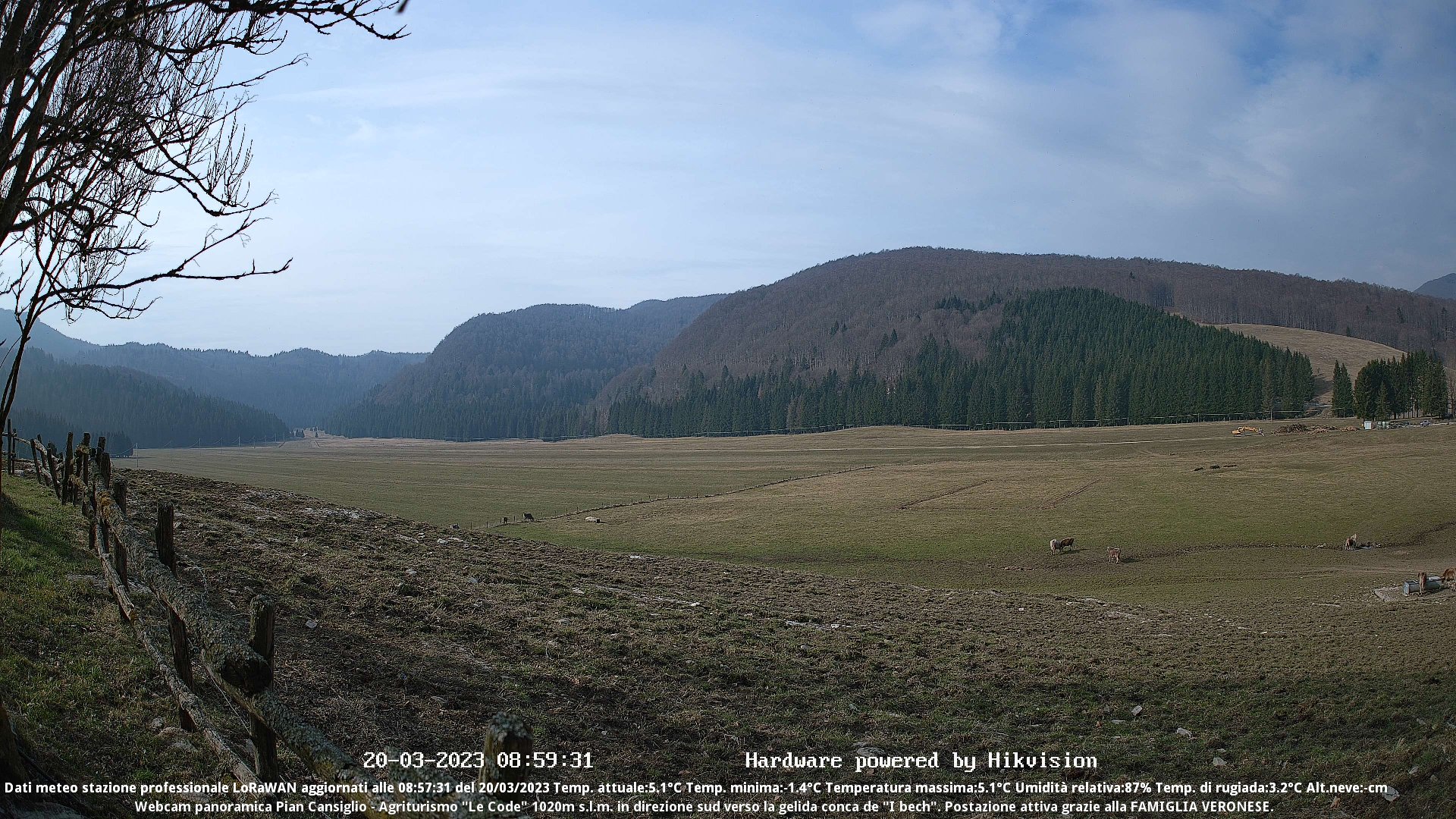 time-lapse frame, Webcam Cansiglio - verso la piana dei "Bech" webcam