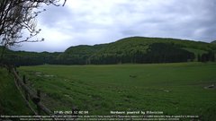 view from Webcam Cansiglio - verso la piana dei "Bech" on 2023-05-17