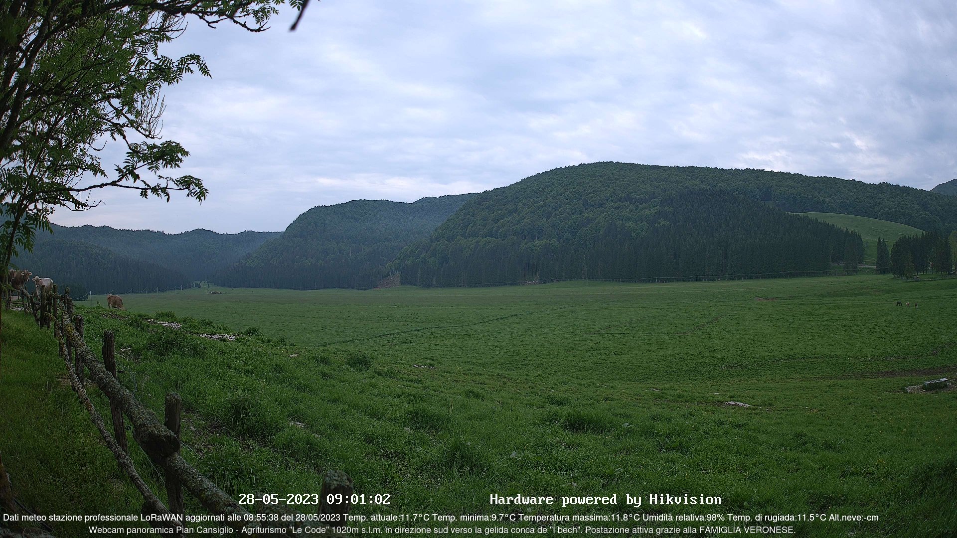 time-lapse frame, Webcam Cansiglio - verso la piana dei "Bech" webcam