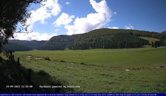 view from Webcam Cansiglio - verso la piana dei "Bech" on 2023-09-19