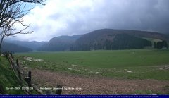 view from Webcam Cansiglio - verso la piana dei "Bech" on 2024-04-16