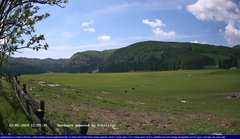 view from Webcam Cansiglio - verso la piana dei "Bech" on 2024-05-12