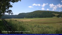 view from Webcam Cansiglio - verso la piana dei "Bech" on 2024-07-18