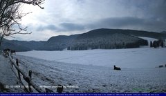 view from Webcam Cansiglio - verso la piana dei "Bech" on 2024-12-22