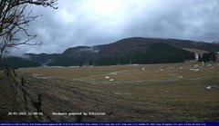 view from Webcam Cansiglio - verso la piana dei "Bech" on 2025-01-20