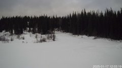 view from Nordic Centre Lodge on 2025-01-17