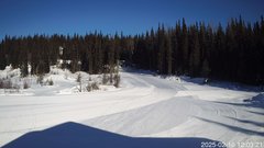 view from Nordic Centre Lodge on 2025-02-10