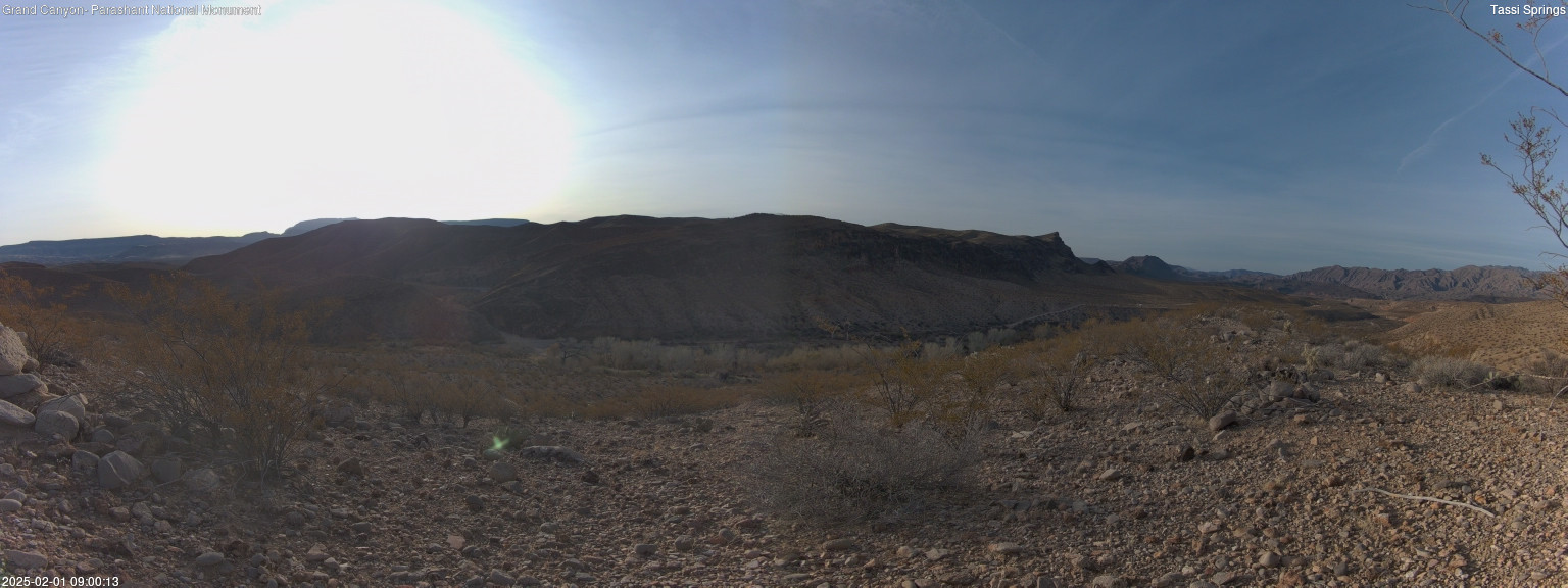 time-lapse frame, Tassi Springs webcam