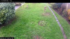 view from Wembury, Devon. Garden Cam on 2024-03-15