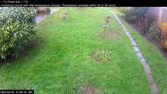 view from Wembury, Devon. Garden Cam on 2024-03-16