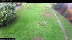 view from Wembury, Devon. Garden Cam on 2024-03-19