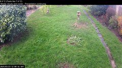 view from Wembury, Devon. Garden Cam on 2024-03-23