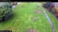 view from Wembury, Devon. Garden Cam on 2024-03-25