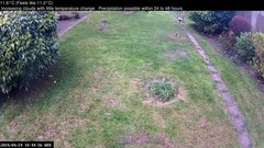 view from Wembury, Devon. Garden Cam on 2024-04-24
