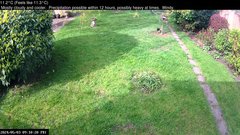 view from Wembury, Devon. Garden Cam on 2024-05-03