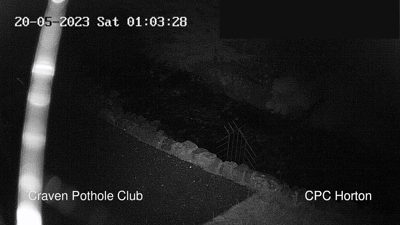 time-lapse frame, HortonBrantsGillCam webcam