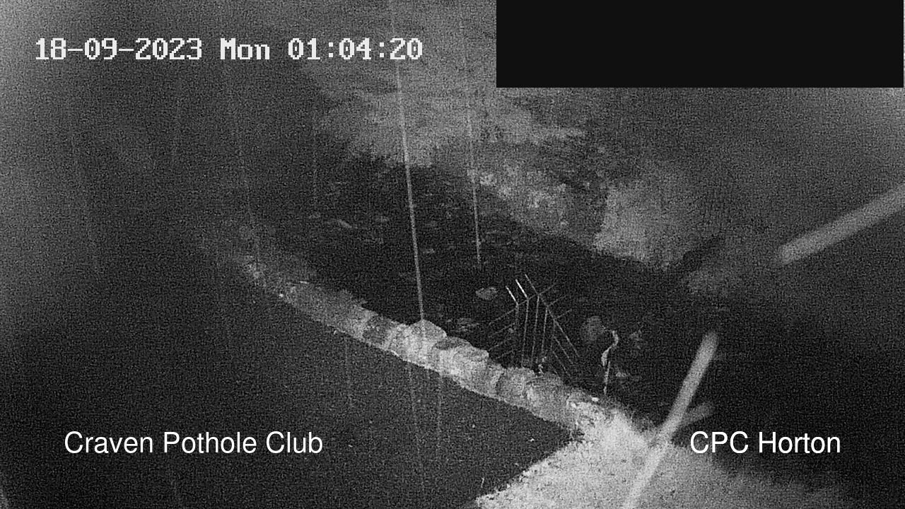 time-lapse frame, HortonBrantsGillCam webcam