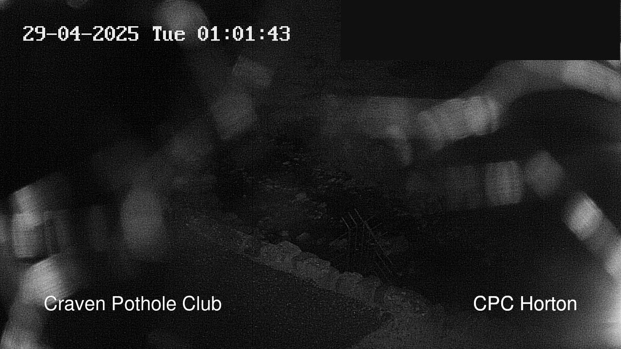 time-lapse frame, HortonBrantsGillCam webcam