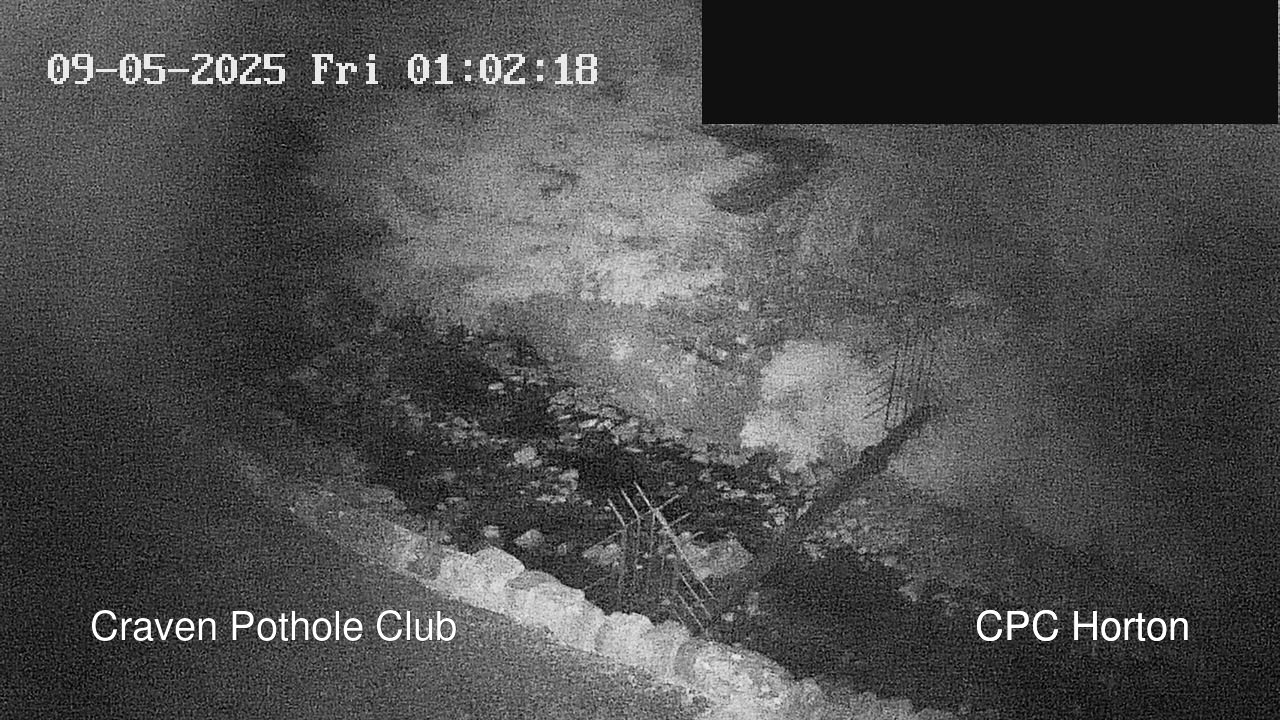 time-lapse frame, HortonBrantsGillCam webcam