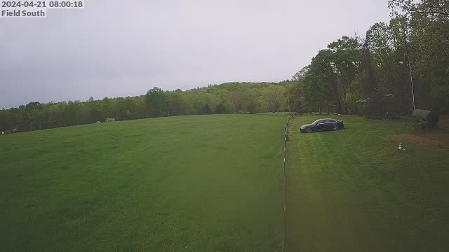 time-lapse frame, Field South webcam