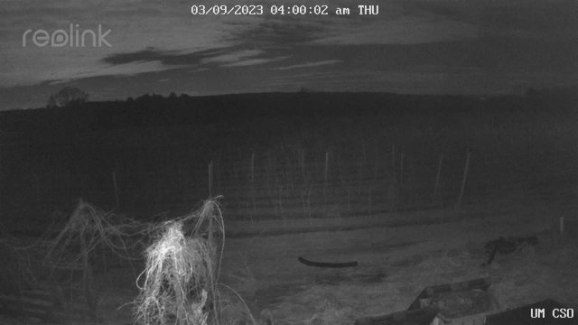 time-lapse frame, UM CSO webcam