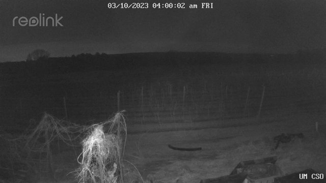 time-lapse frame, UM CSO webcam