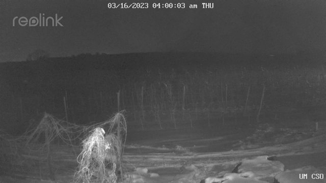 time-lapse frame, UM CSO webcam