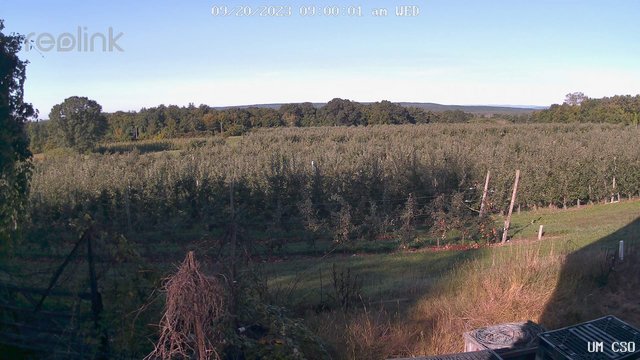 time-lapse frame, UM CSO webcam