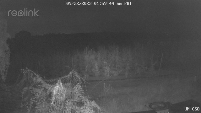 time-lapse frame, UM CSO webcam