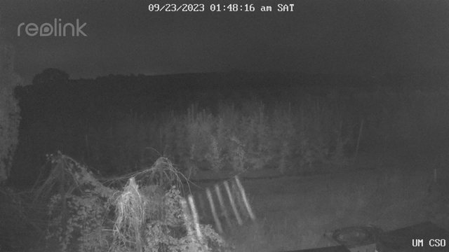 time-lapse frame, UM CSO webcam