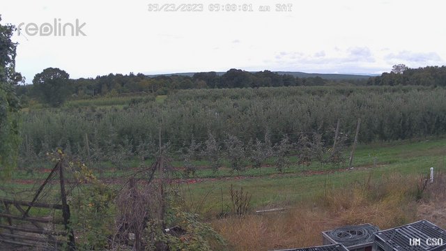 time-lapse frame, UM CSO webcam