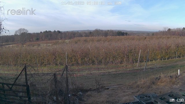 time-lapse frame, UM CSO webcam