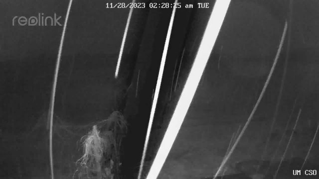 time-lapse frame, UM CSO webcam