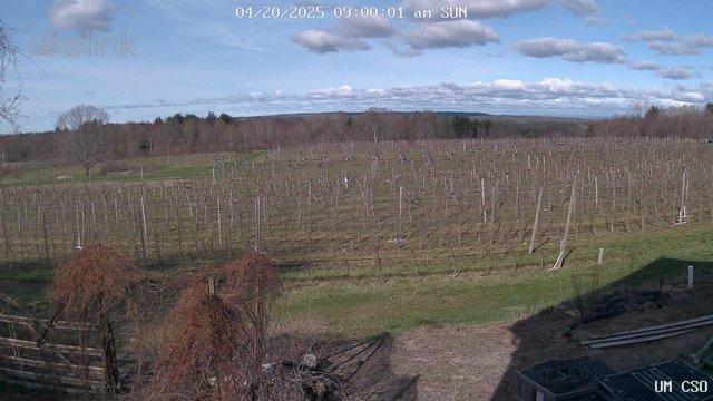 time-lapse frame, UM CSO webcam