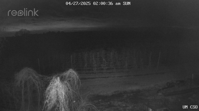 time-lapse frame, UM CSO webcam
