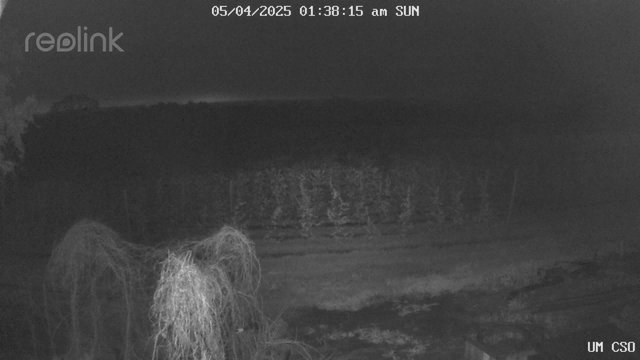 time-lapse frame, UM CSO webcam