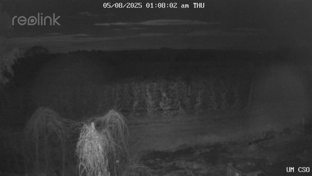 time-lapse frame, UM CSO webcam