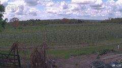 view from UM CSO on 2025-05-08