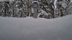 view from Powder Cam on 2024-05-12