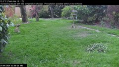 view from Wembury, Devon. Garden Zoom Cam on 2024-04-19