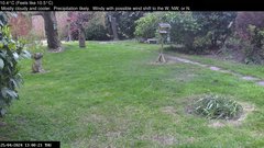 view from Wembury, Devon. Garden Zoom Cam on 2024-04-25