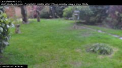 view from Wembury, Devon. Garden Zoom Cam on 2024-04-27