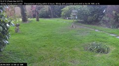 view from Wembury, Devon. Garden Zoom Cam on 2024-04-28