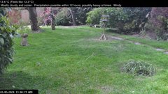 view from Wembury, Devon. Garden Zoom Cam on 2024-05-01