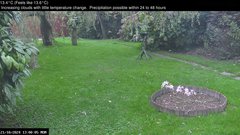 view from Wembury, Devon. Garden Zoom Cam on 2024-10-21