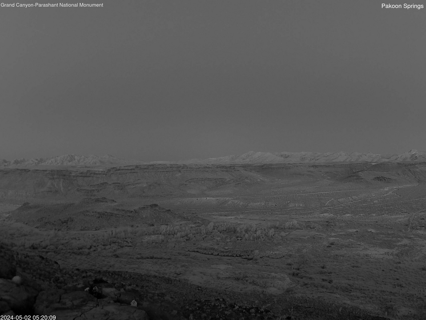 time-lapse frame, Pakoon Springs webcam