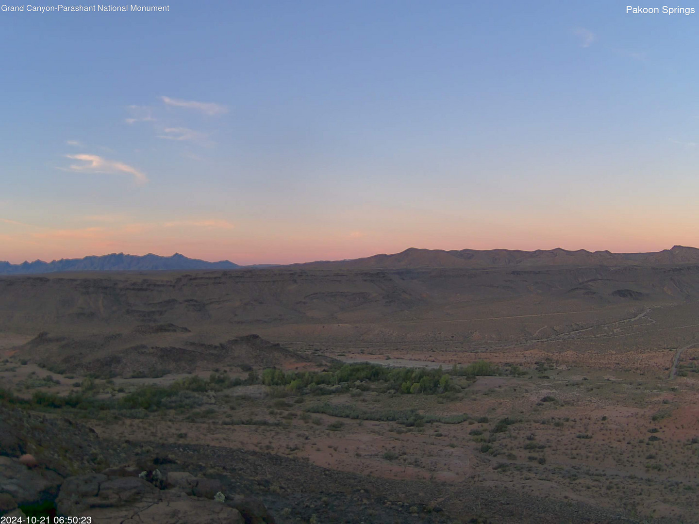 time-lapse frame, Pakoon Springs webcam