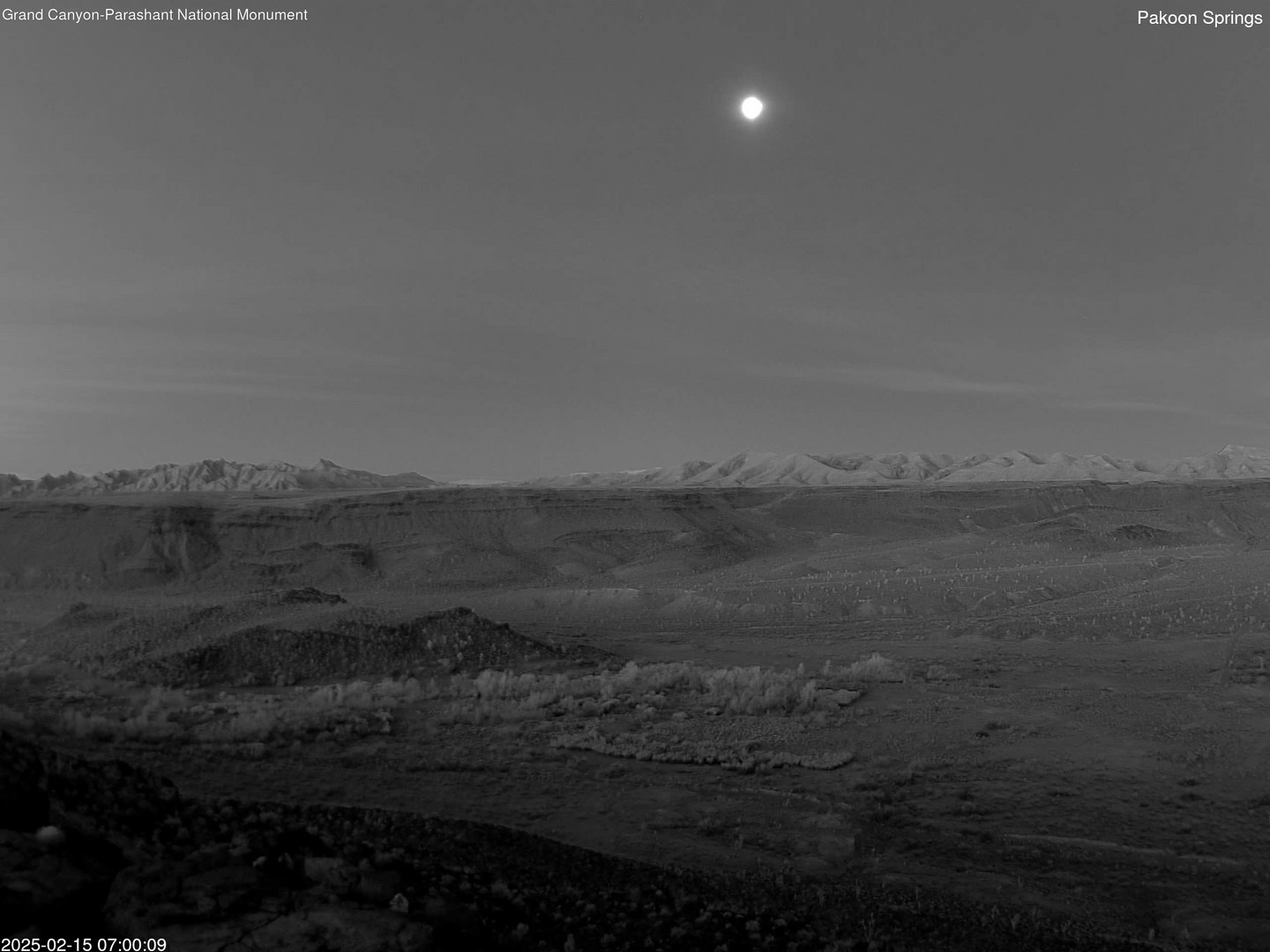 time-lapse frame, Pakoon Springs webcam