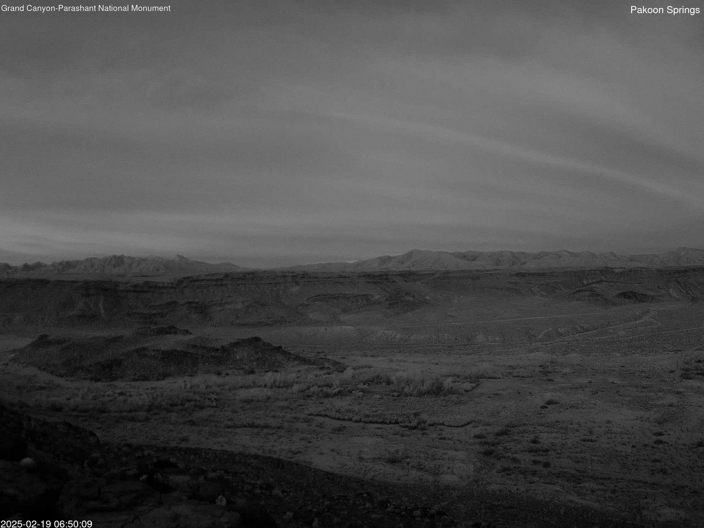 time-lapse frame, Pakoon Springs webcam