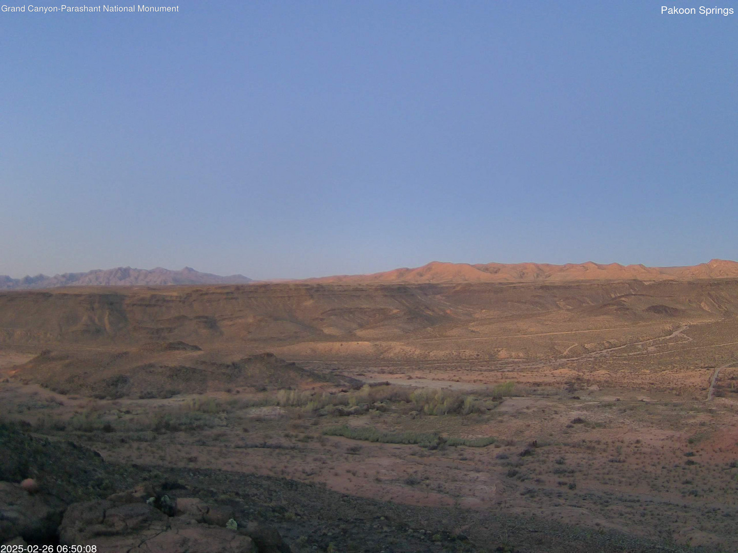 time-lapse frame, Pakoon Springs webcam